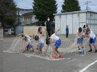 IMG_4155 IMG_4155