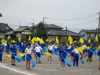 IMG_4356 IMG_4356
