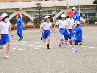 IMG_4379 (2) IMG_4379 (2)