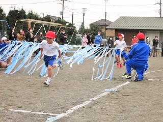 IMG_4389 (2) IMG_4389 (2)