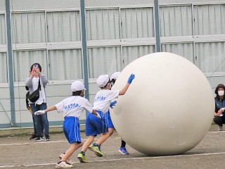 IMG_4412 (2) IMG_4412 (2)