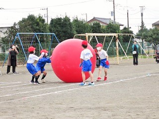 IMG_4413 (2) IMG_4413 (2)