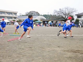 IMG_4452 (3) IMG_4452 (3)