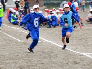 IMG_4470 (2) IMG_4470 (2)
