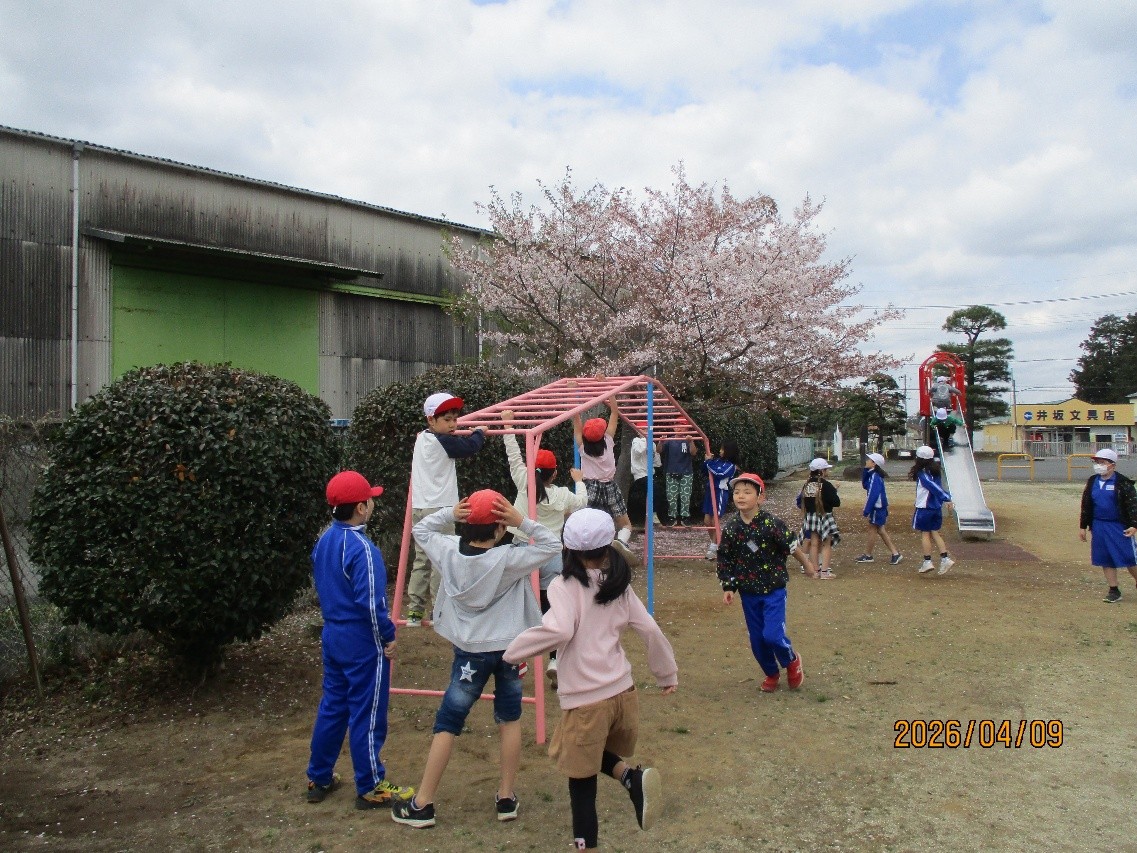 画像13