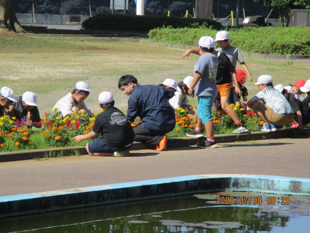 画像4