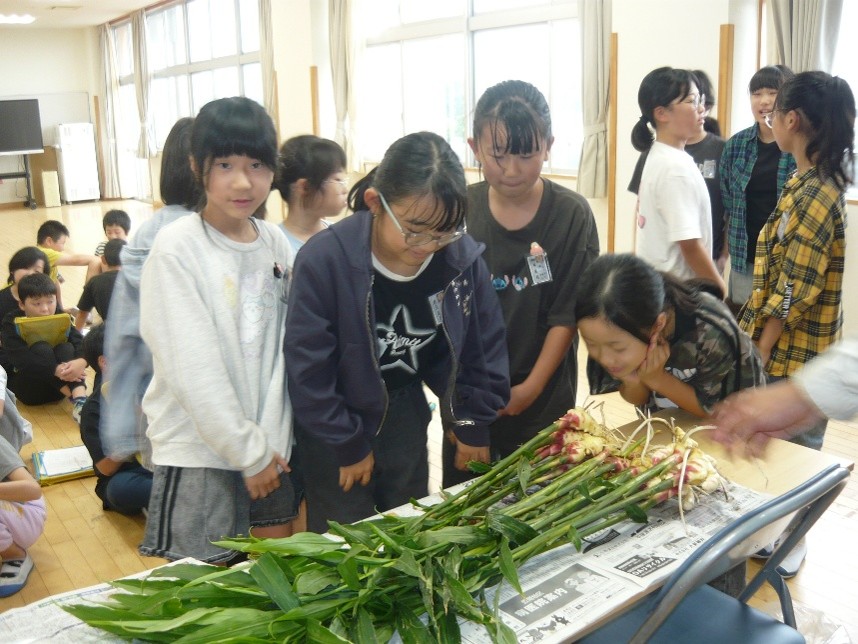 画像7