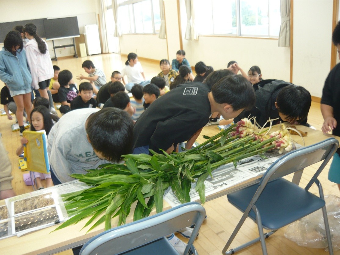 画像10