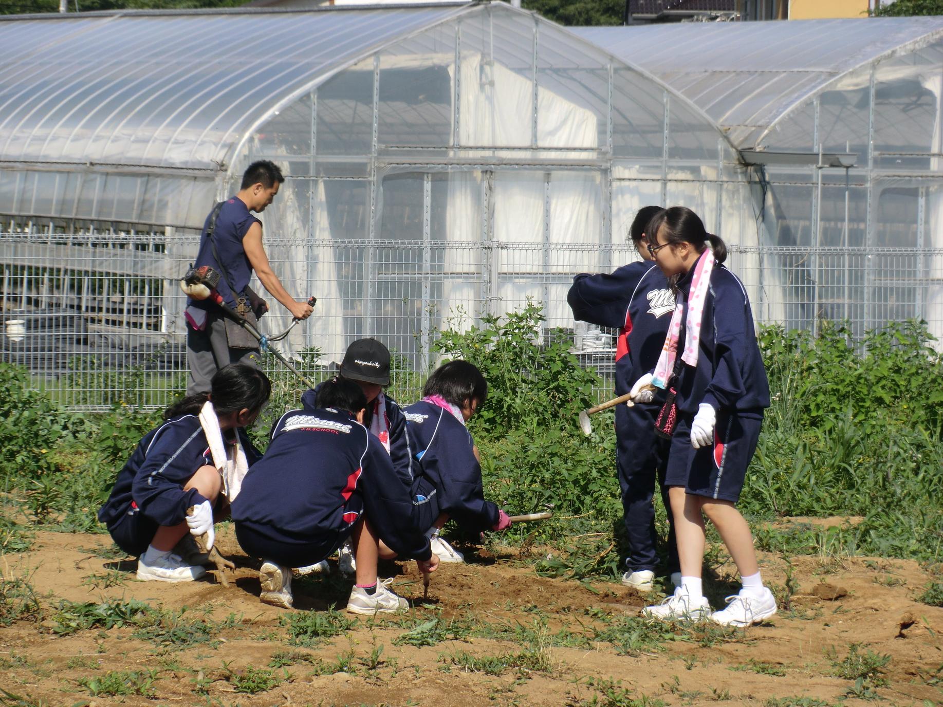 1年が親子奉仕活動を行いました。 | 小美玉市立美野里中学校