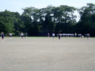 P6165398