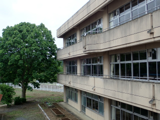 P5225281