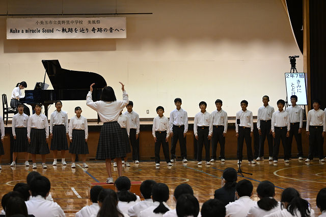 11大 11大