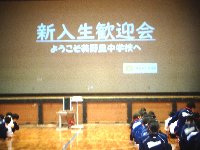 DSC04914