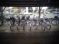 DSC05016
