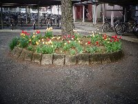 DSC05032