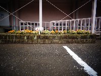 DSC05033
