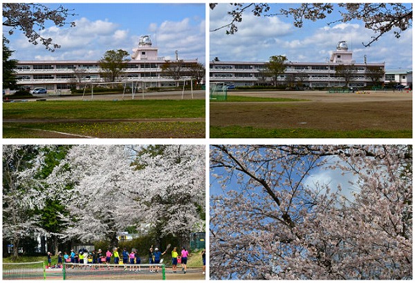 学校