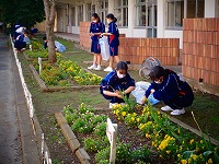 DSC05220
