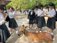 LINE_ALBUM_1日目_240518_112