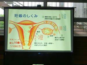 CIMG2780