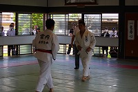 IMG_9318