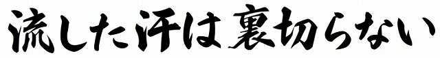 流した汗は裏切らない横