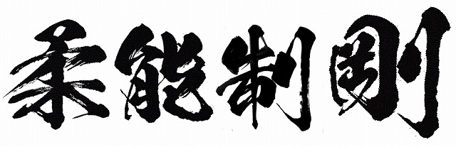 柔能制剛3