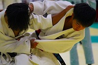 IMG_0252