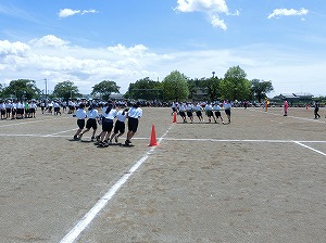 CIMG3782