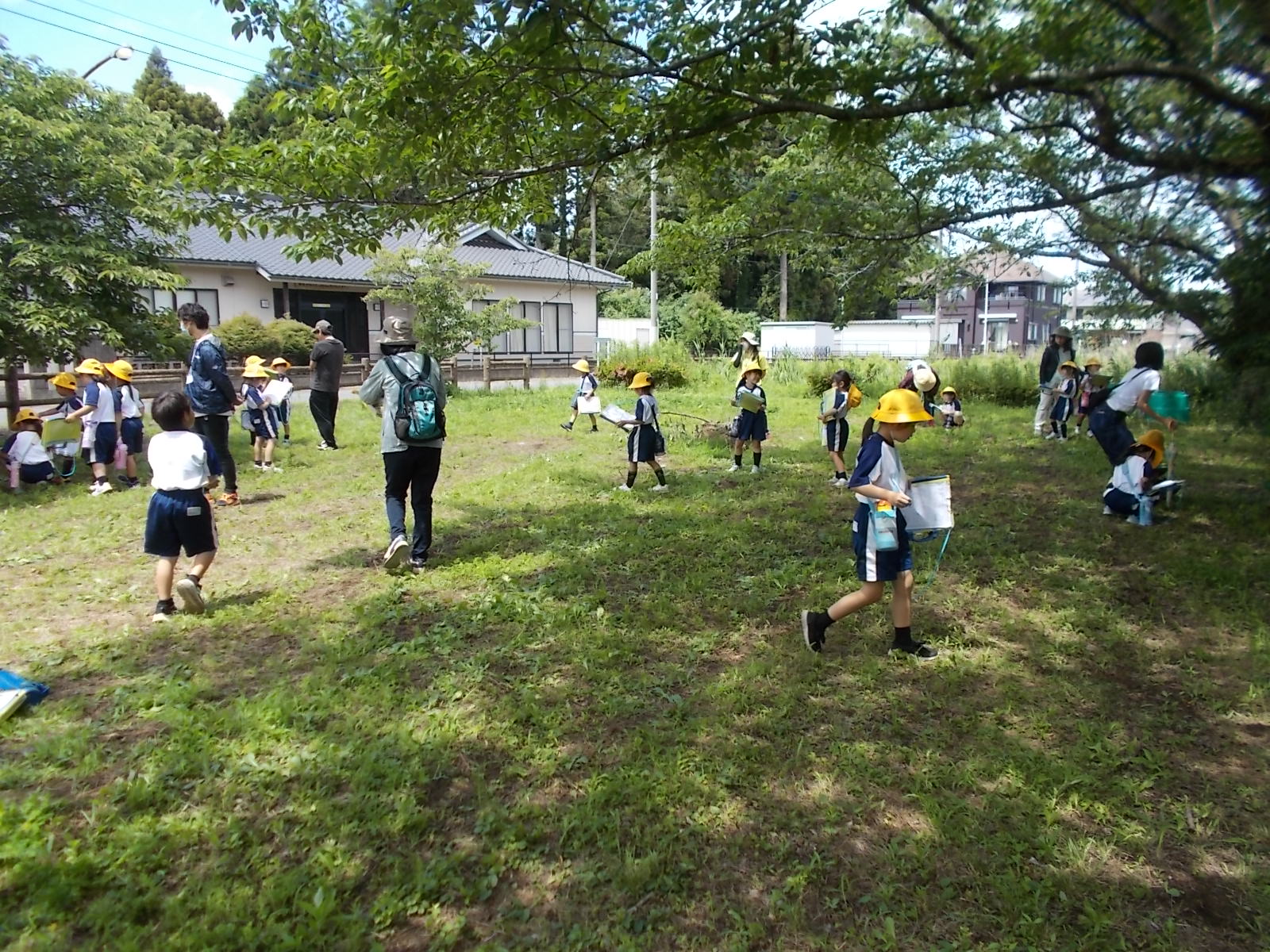 DSCN6051