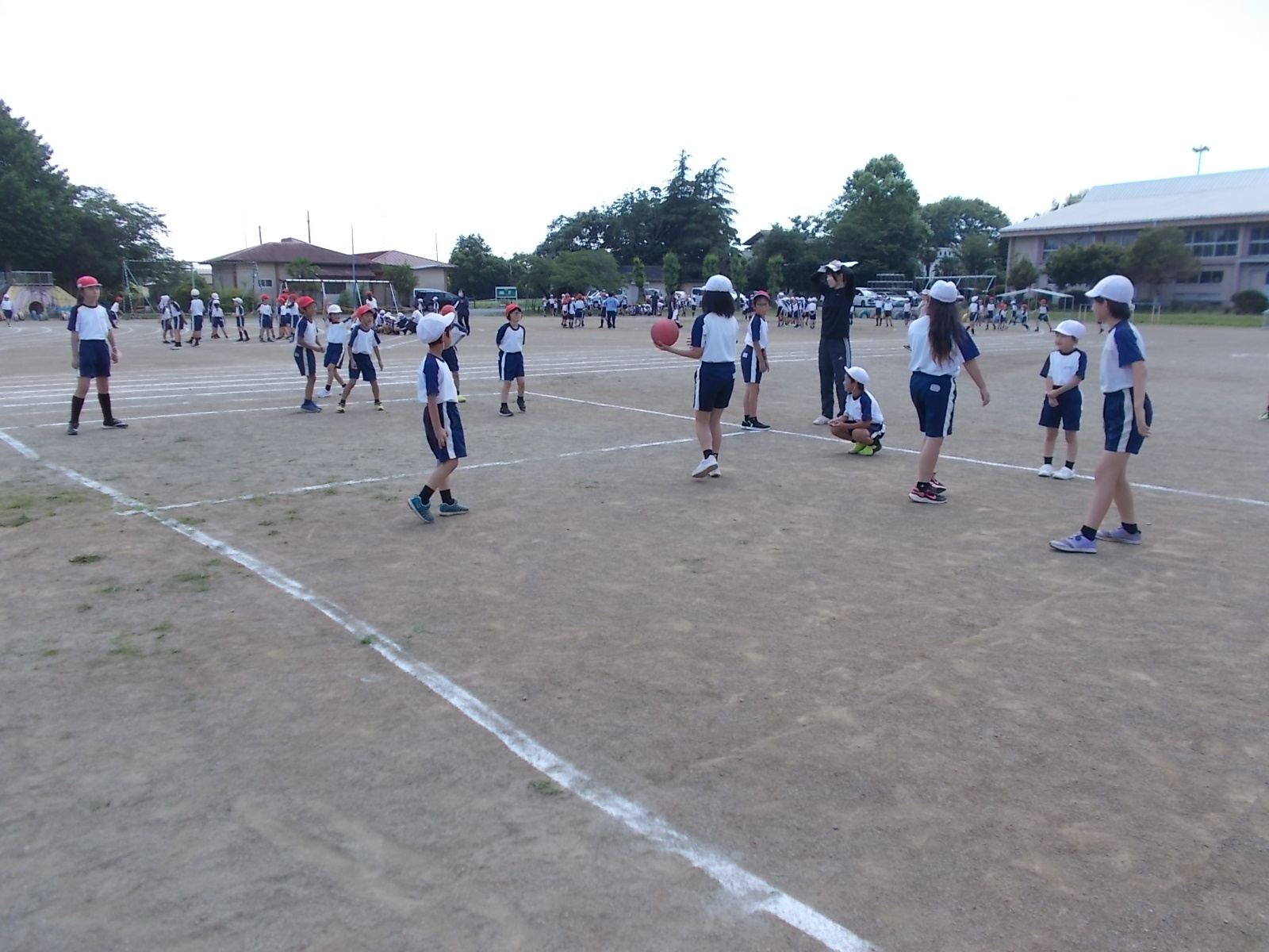 DSCN6142
