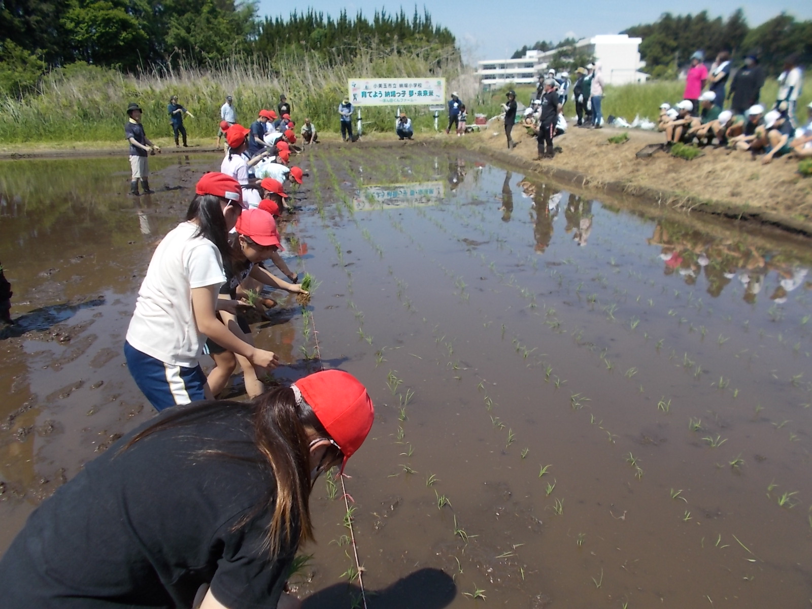 DSCN0829