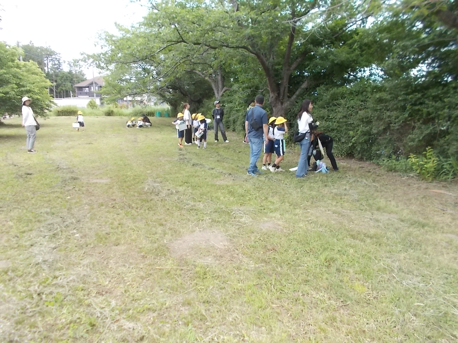 DSCN7977