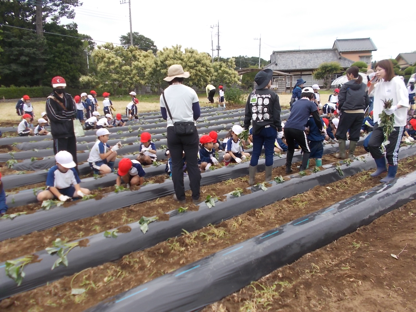 DSCN8039