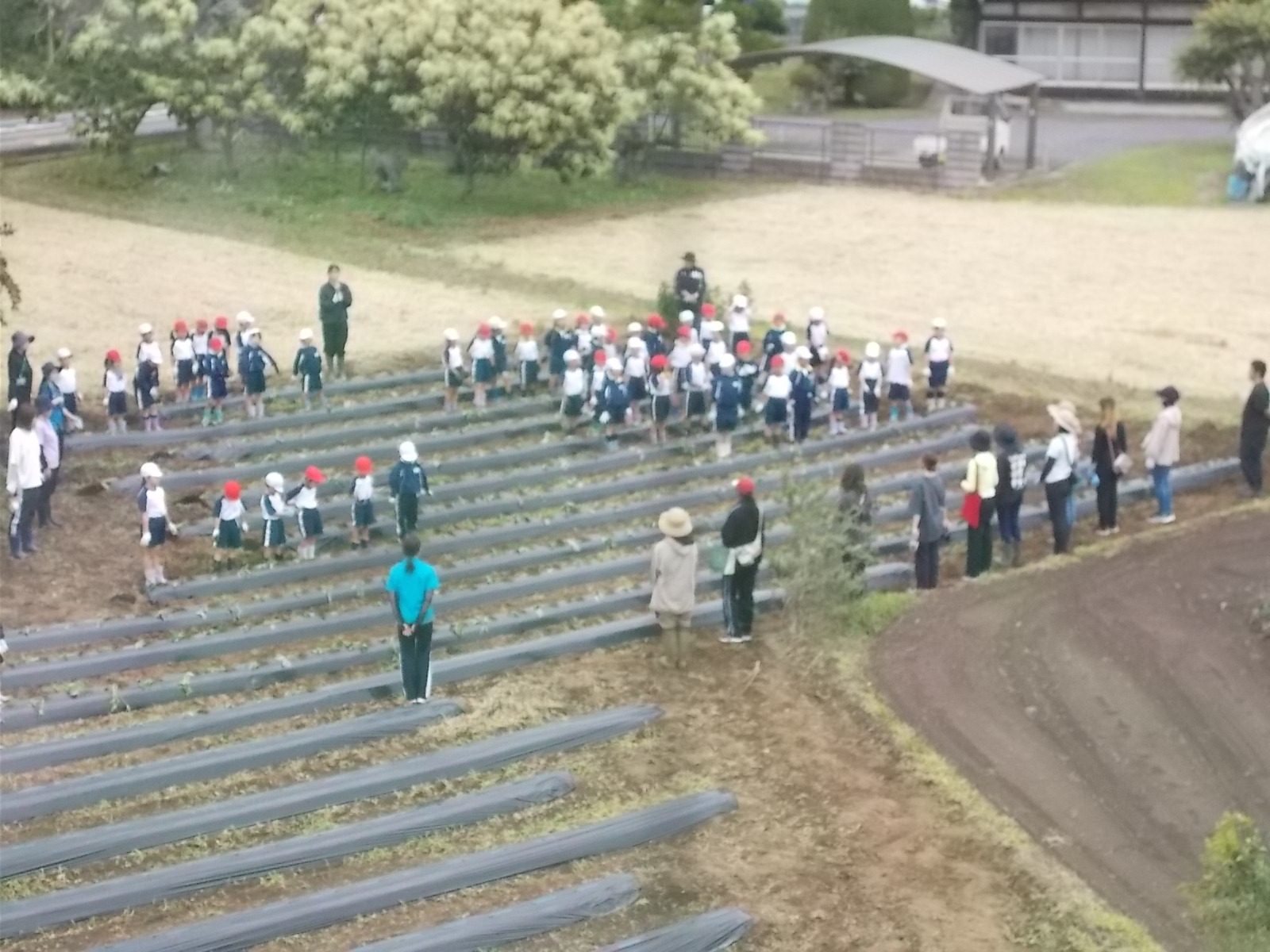 DSCN8042