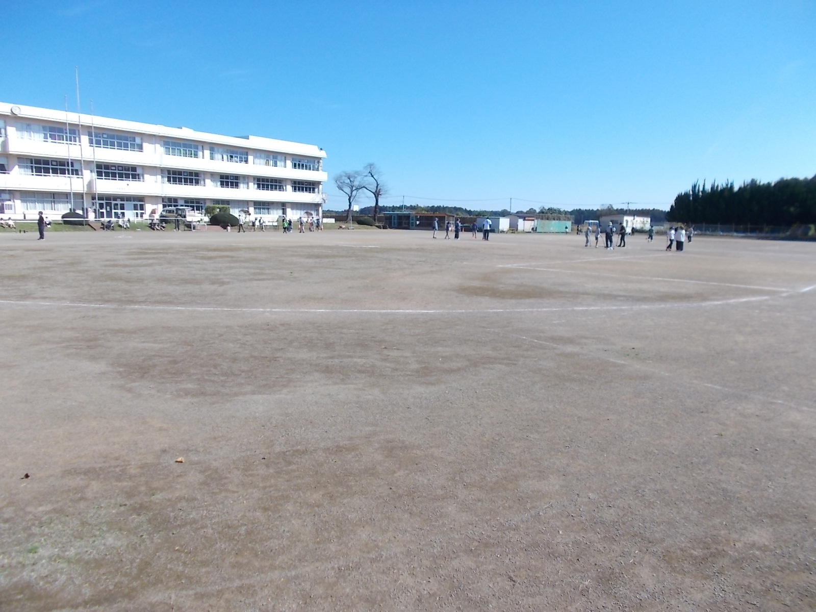 DSCN9342 DSCN9342