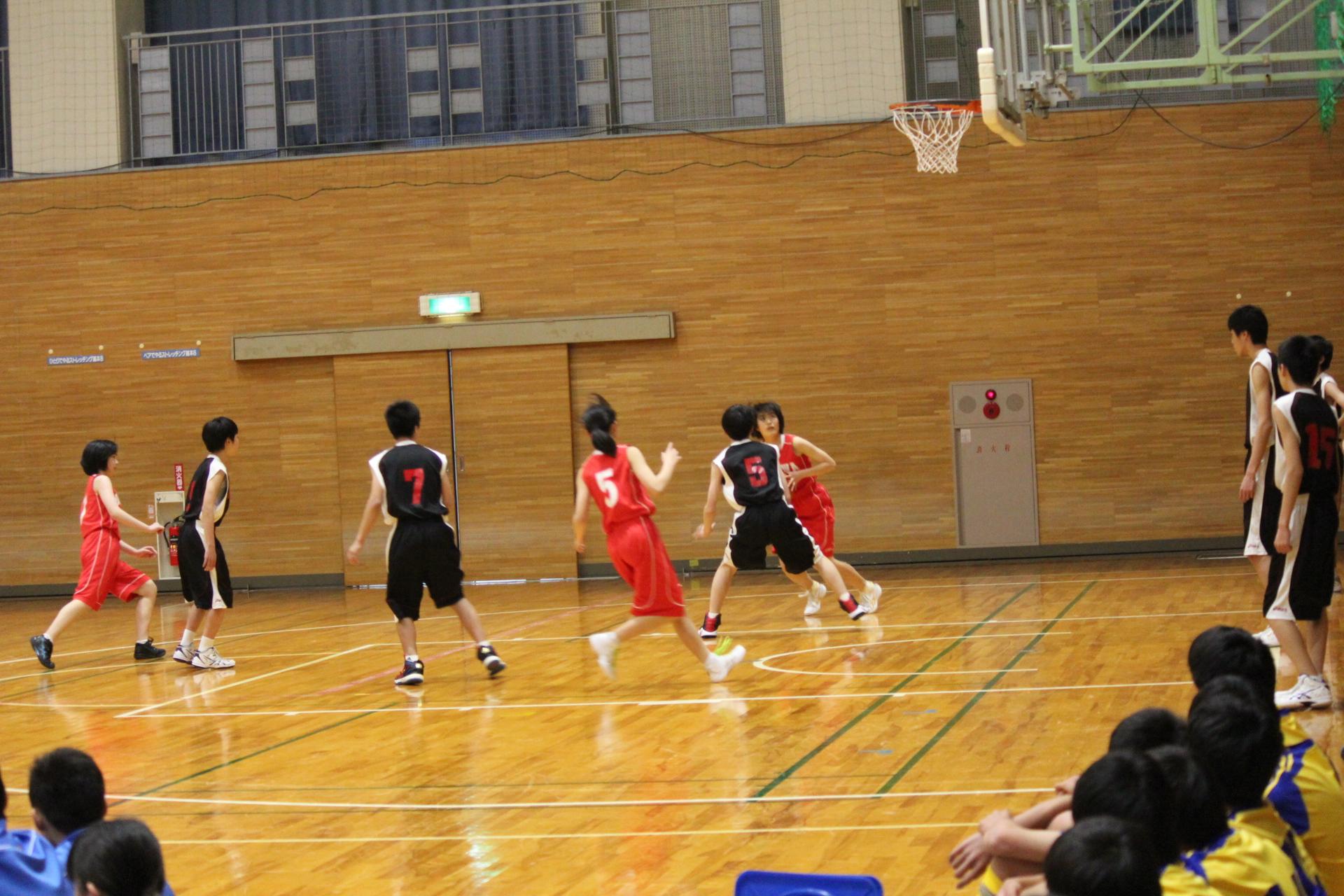 IMG_8187 IMG_8187
