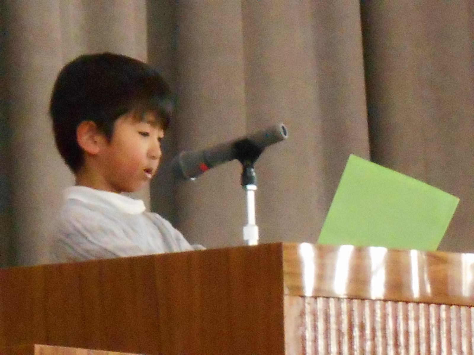 DSCN3446