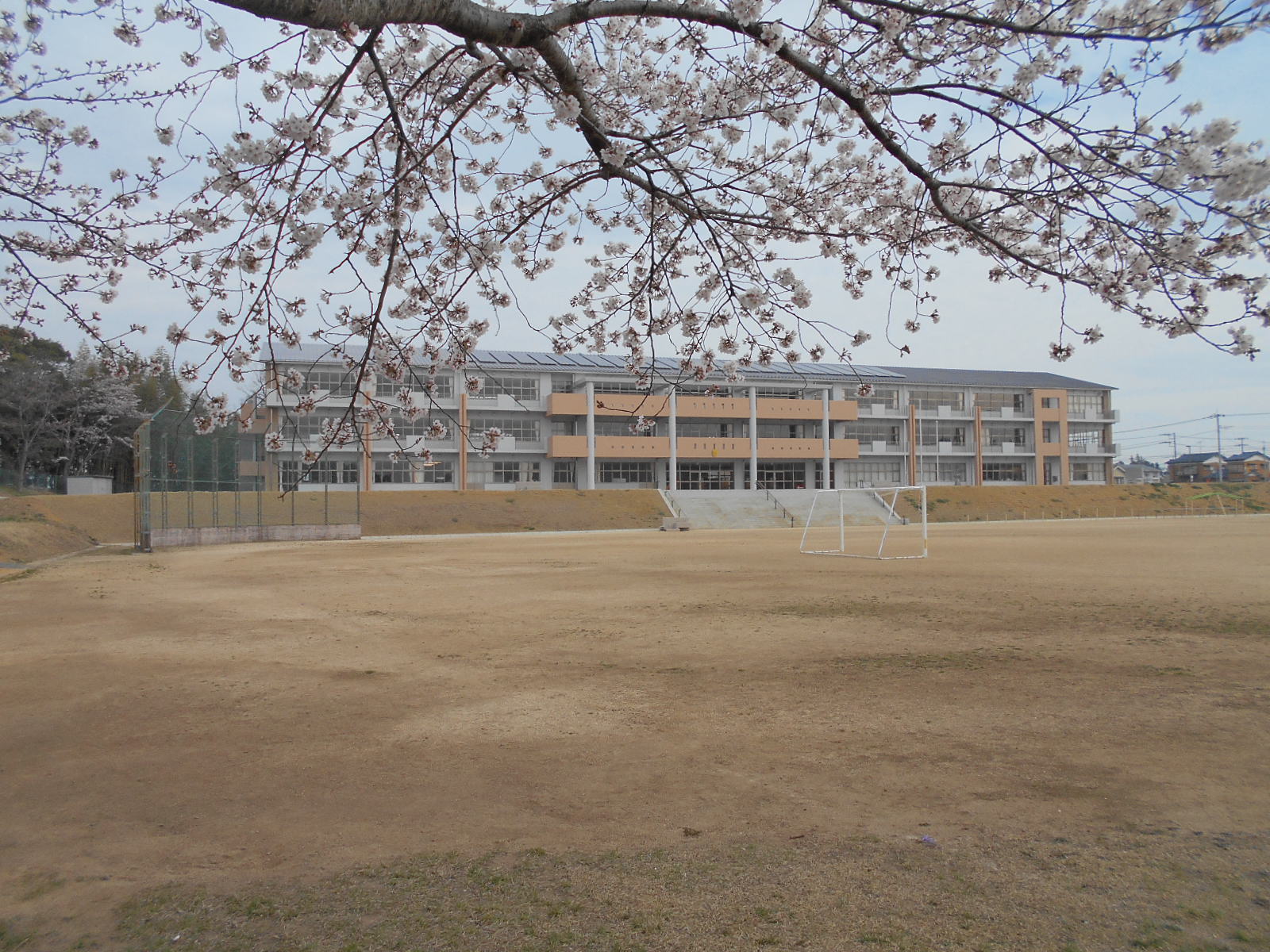 DSCN3663
