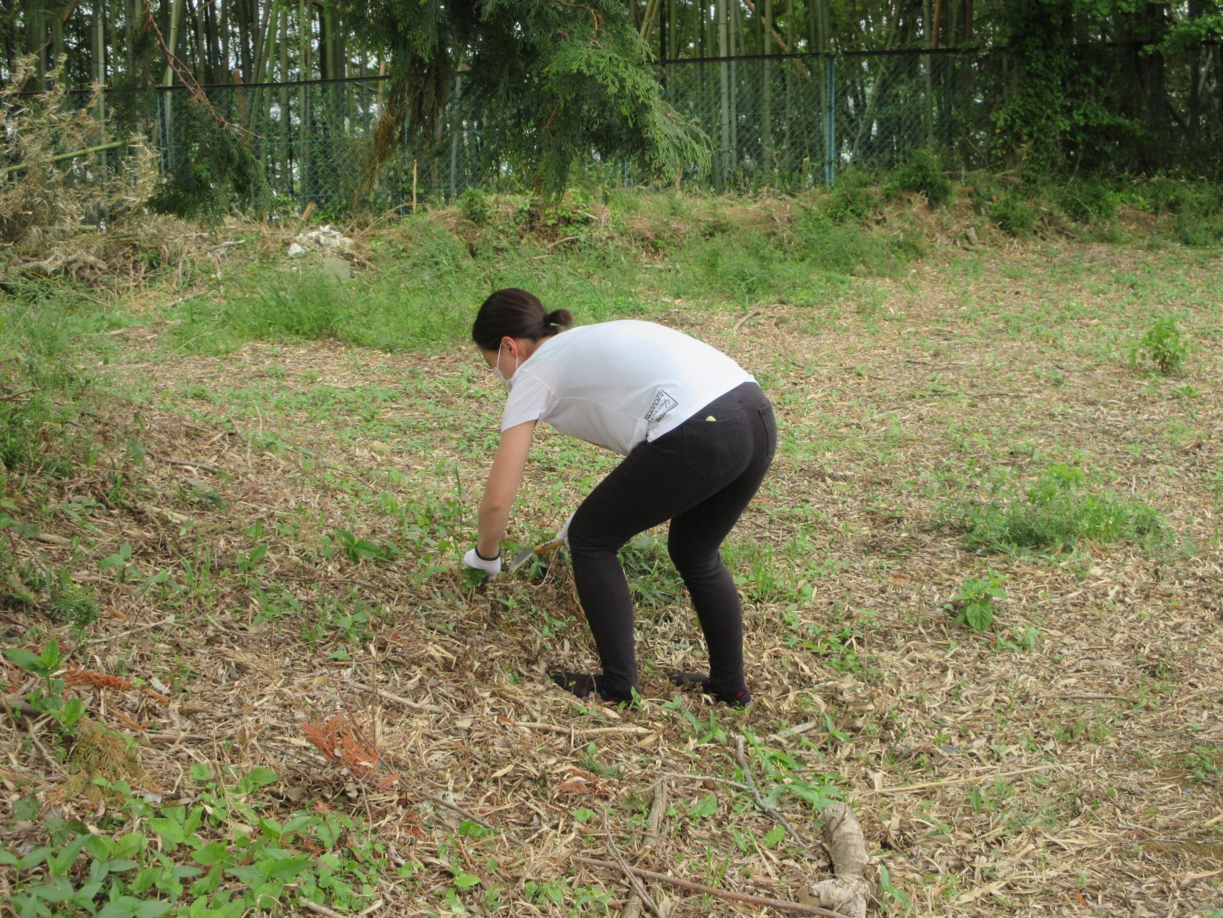 IMG_0424 IMG_0424