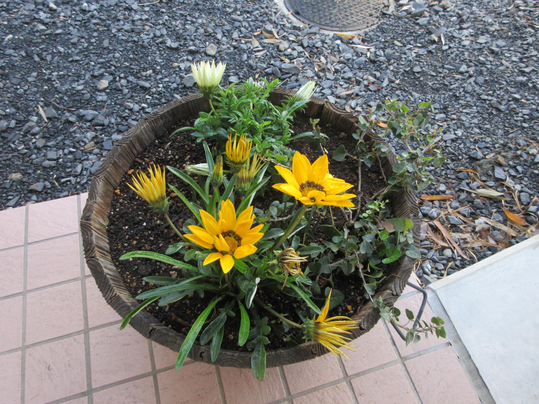 IMG_0410 IMG_0410