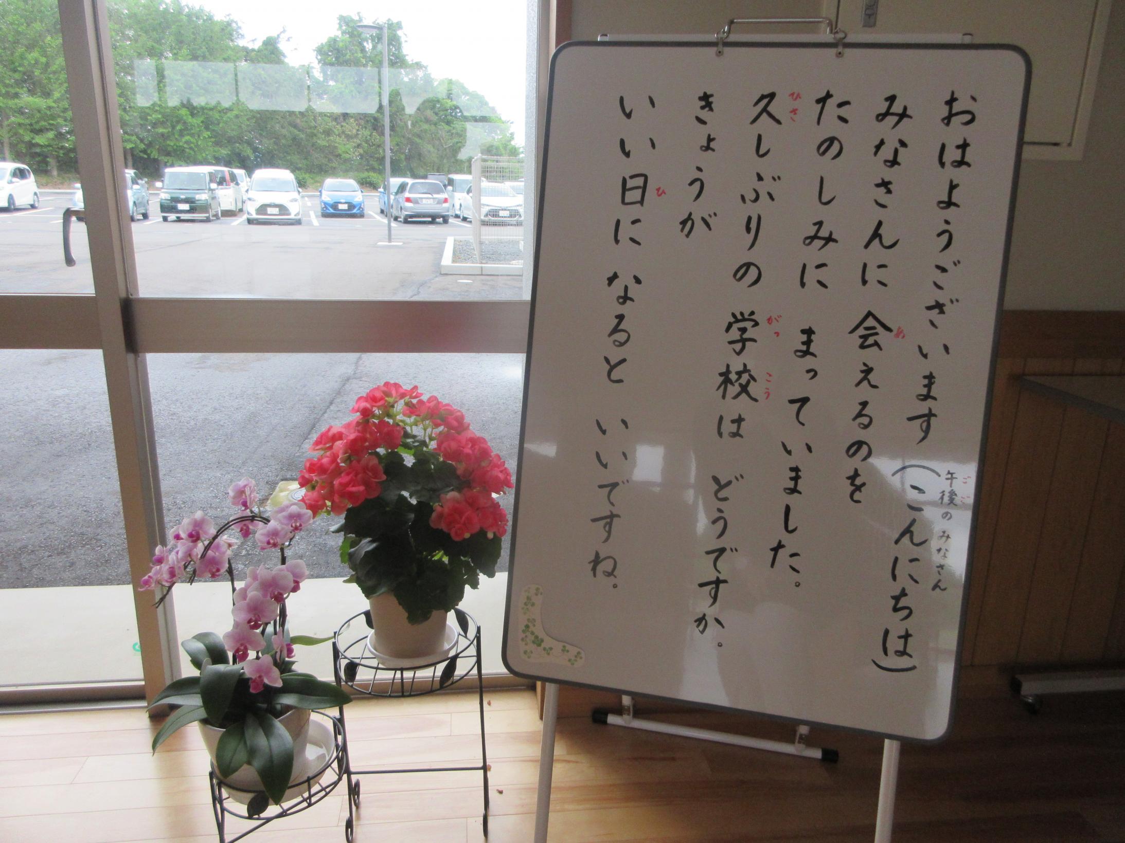 IMG_0488 IMG_0488