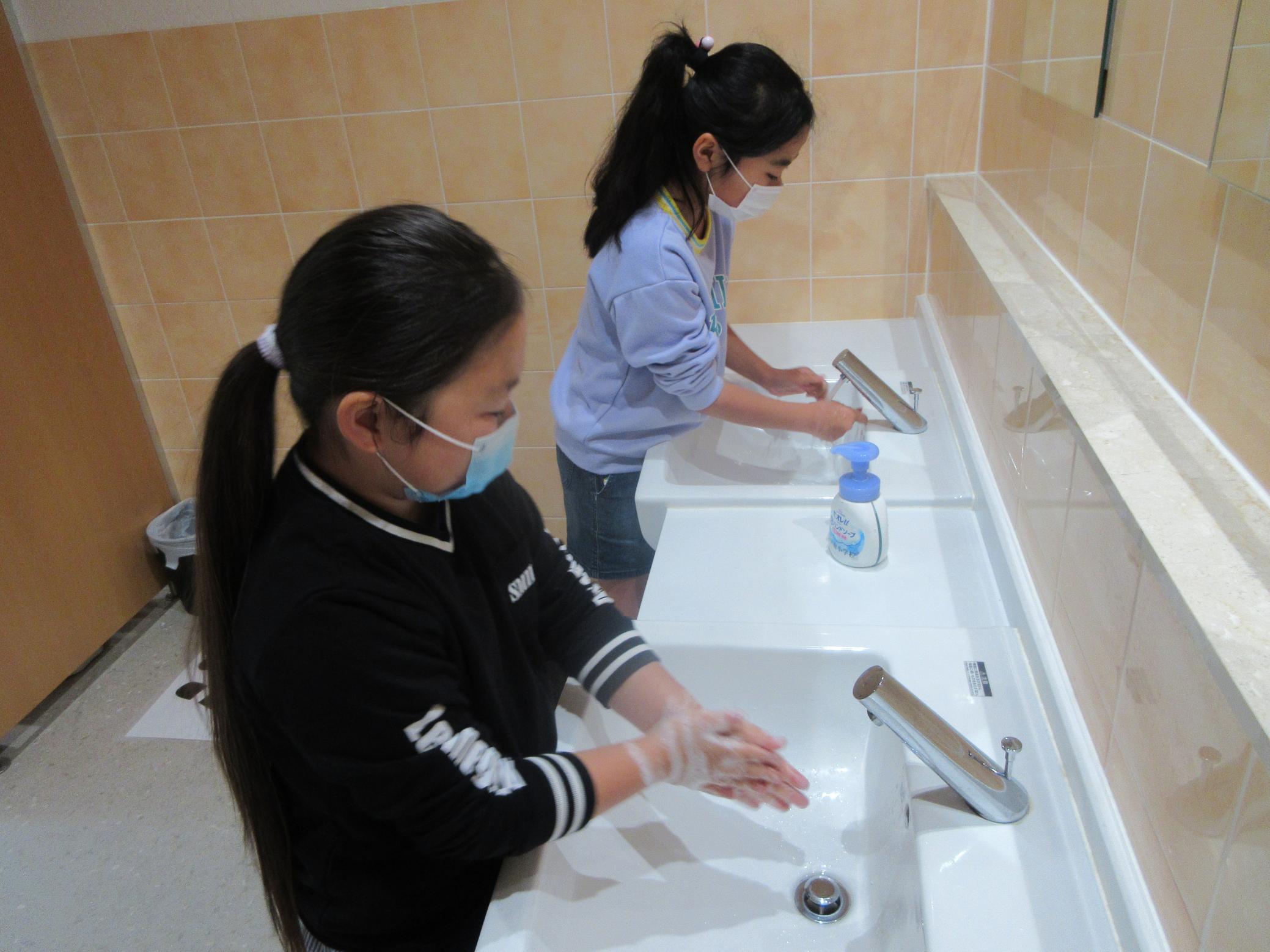 IMG_0538 IMG_0538