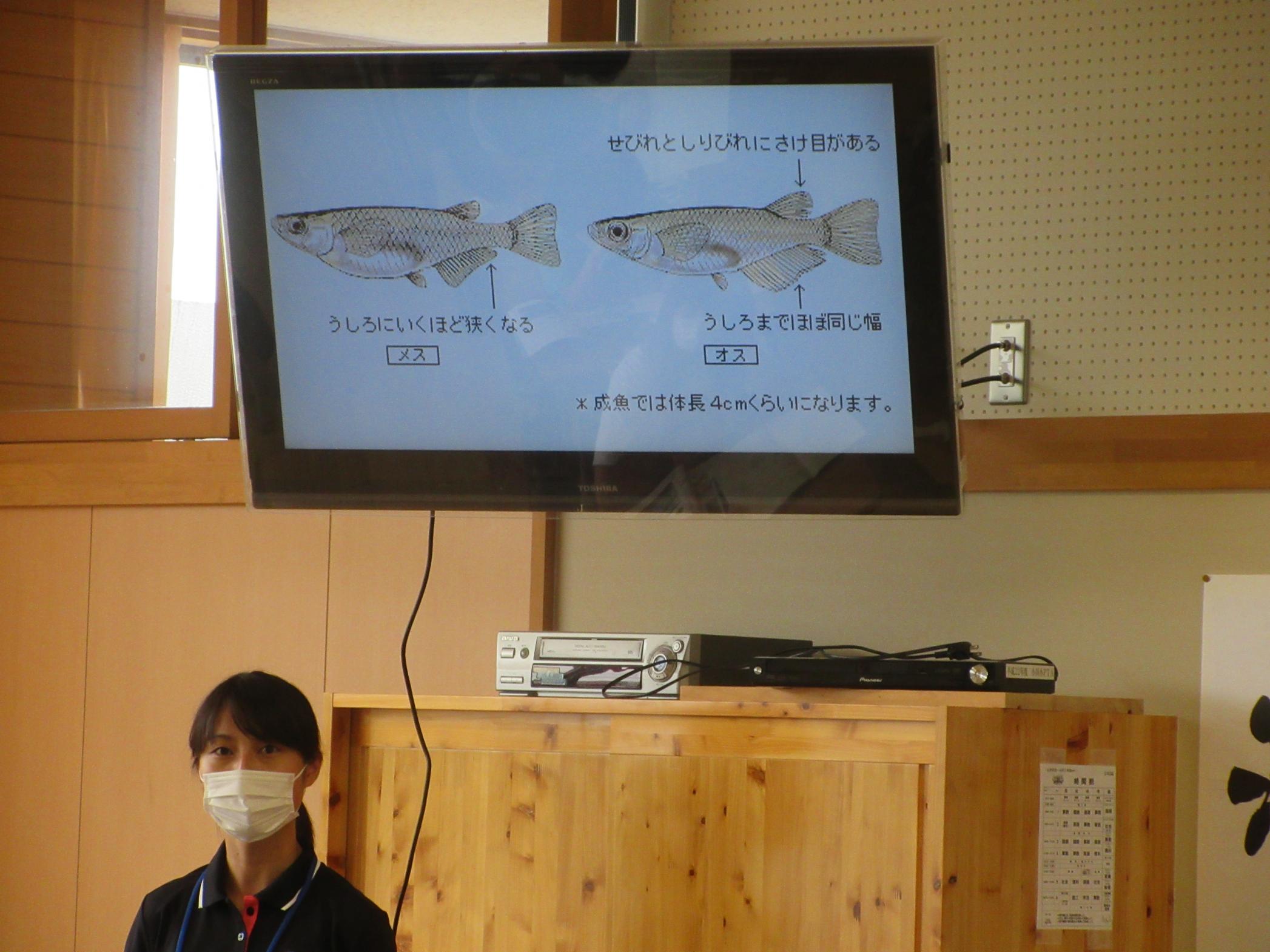 IMG_1202 IMG_1202