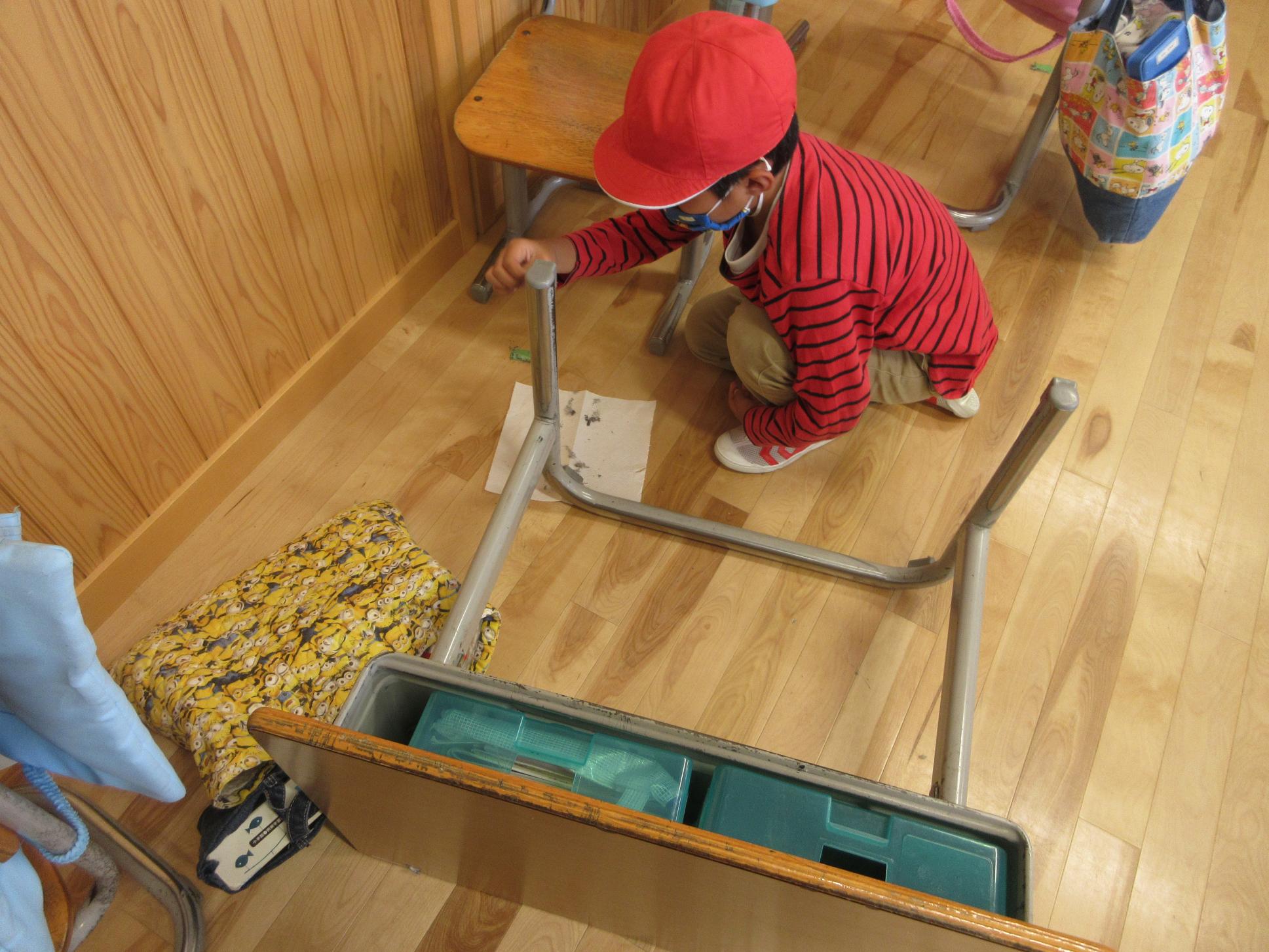 IMG_1365 IMG_1365