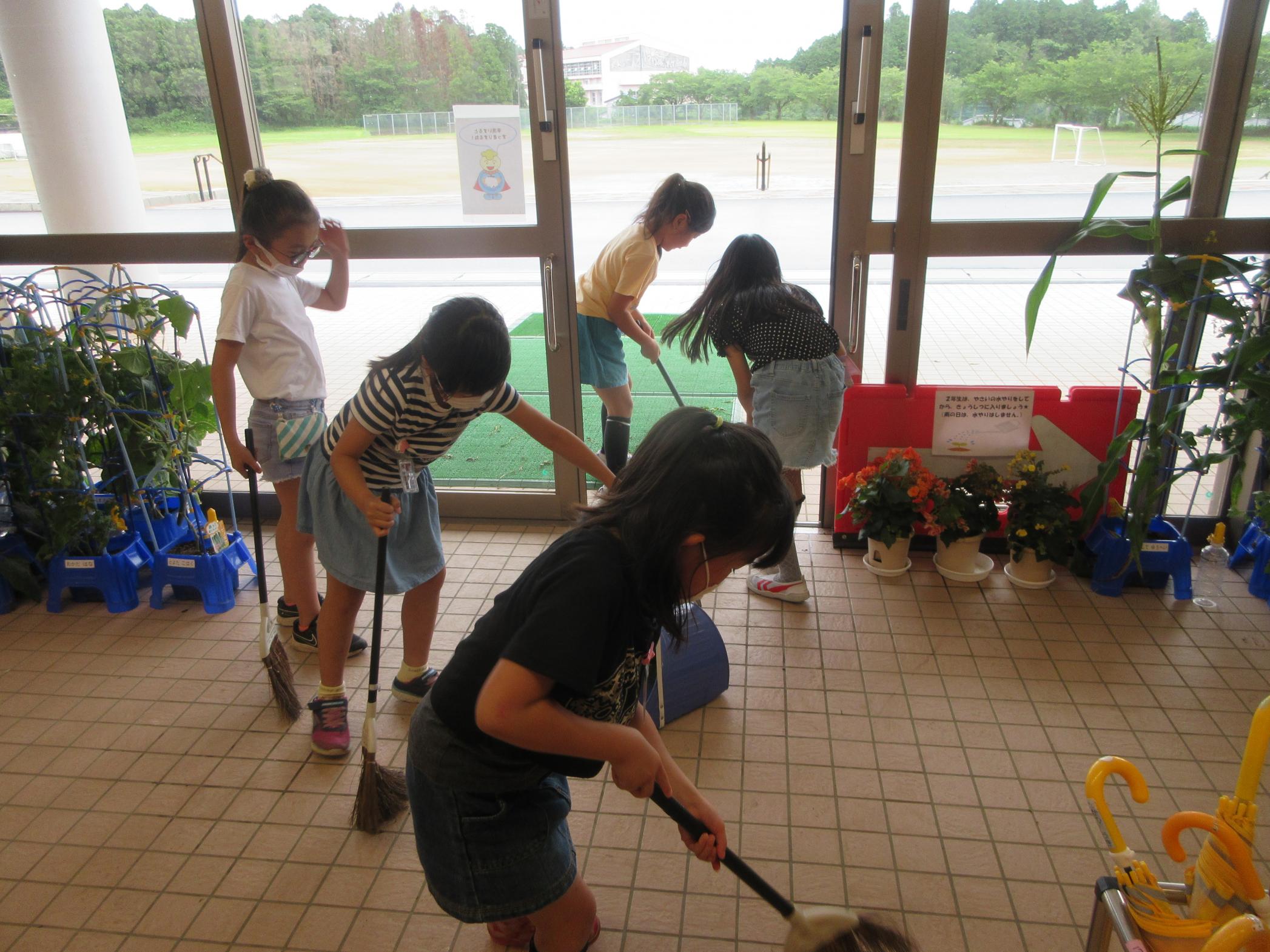IMG_1557 IMG_1557