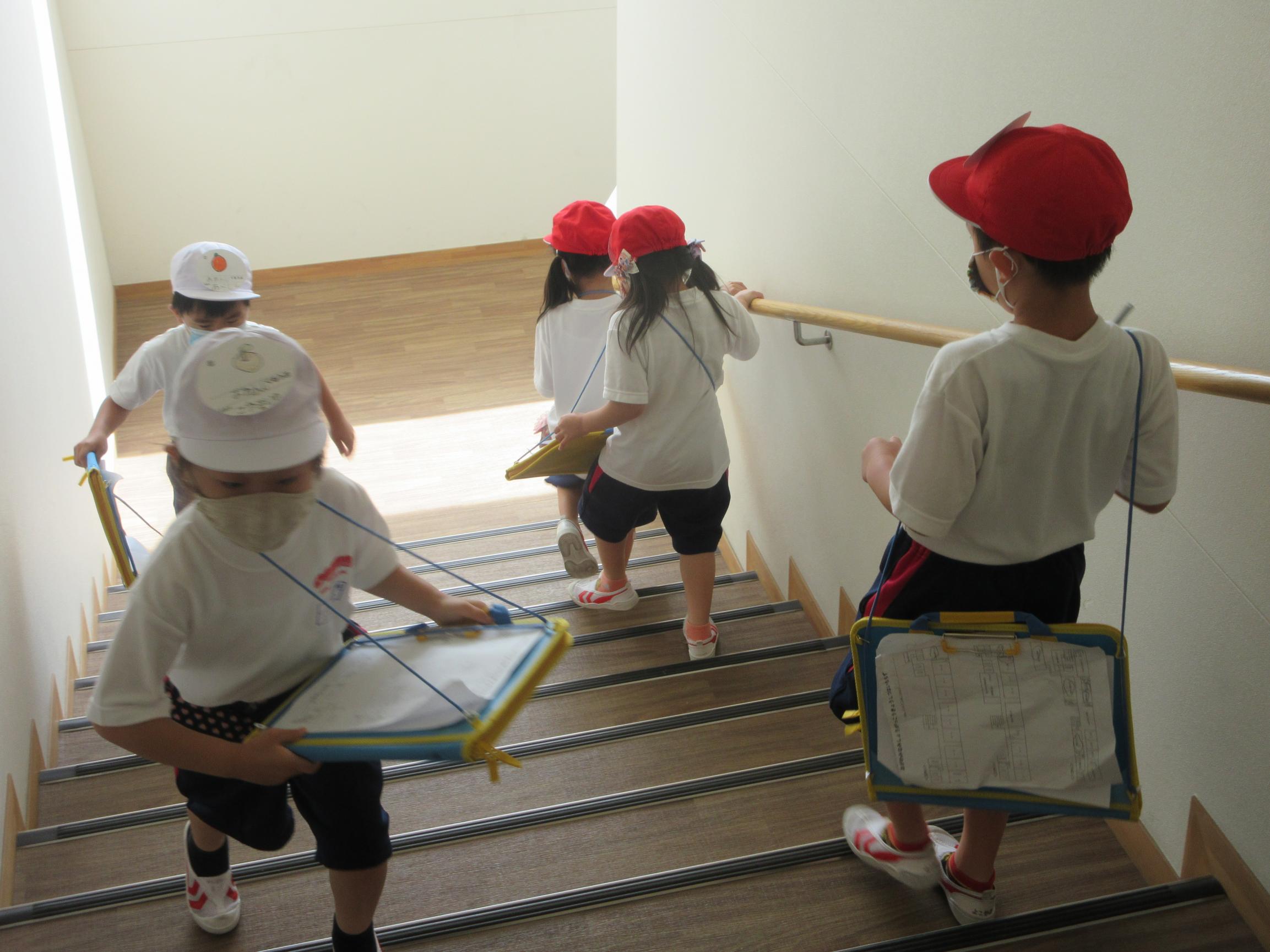 IMG_1617 IMG_1617