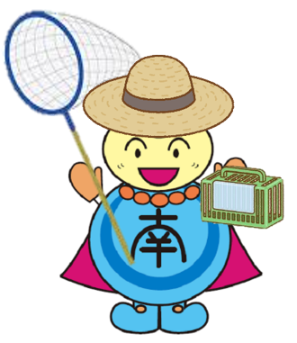 みなみん 麦わら帽子 みなみん 麦わら帽子