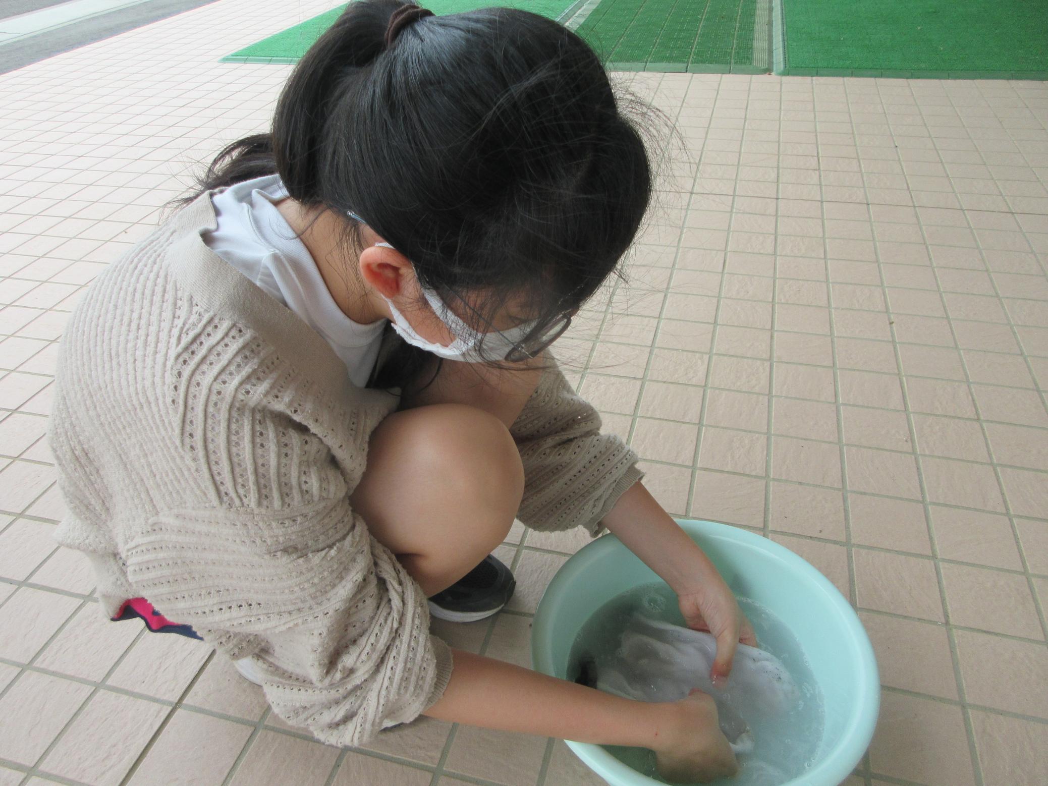 IMG_2419 IMG_2419
