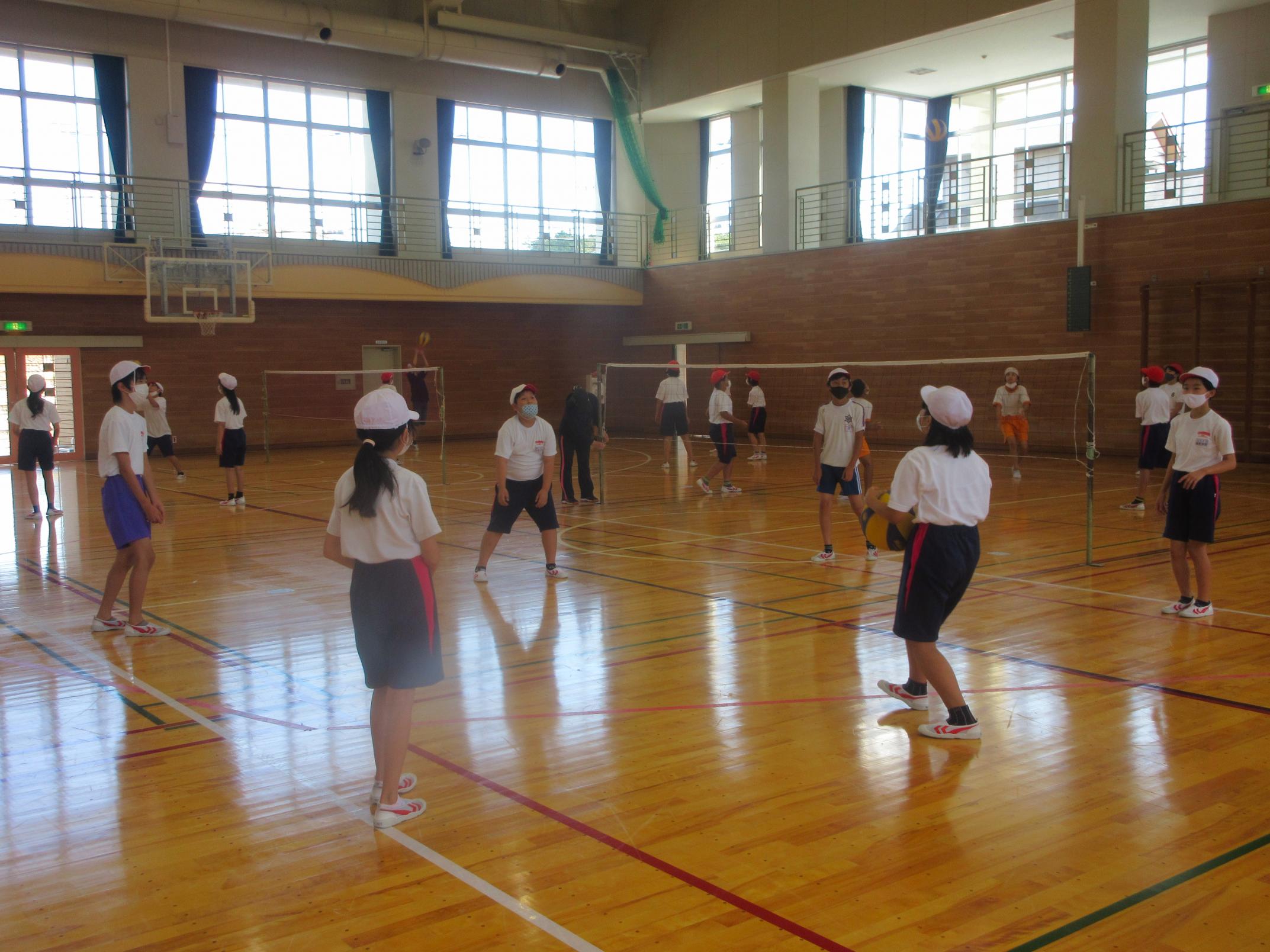 IMG_2532 IMG_2532